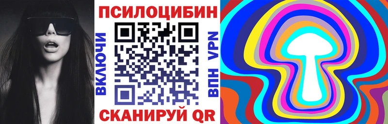 хочу   Стародуб  Псилоцибиновые грибы мухоморы 